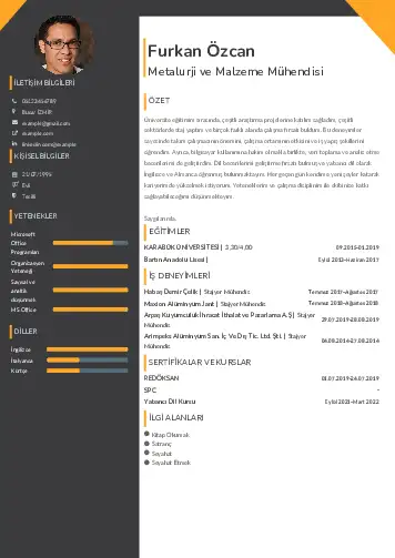Metalürji Ve Malzeme Mühendisliği Cv Örnekleri cv indir
